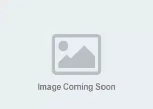 Estate Planning for Transplant Patients (2023) 